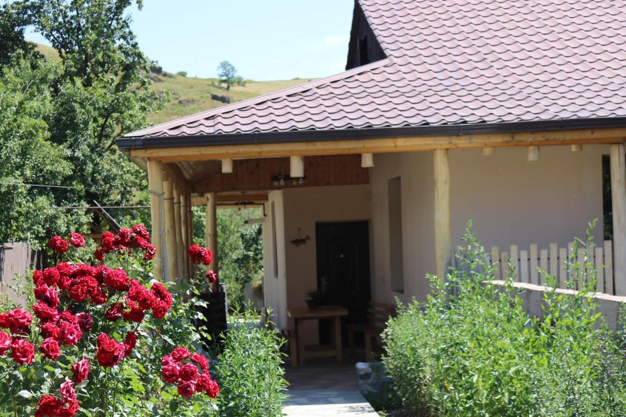 Villa Shamakhyan Dilijan Ngoại thất bức ảnh
